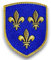 Blason patch écusson Royaume de France brodé avec dos Scratch - Région Ile de France
