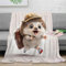 Strunt Niedlicher Igel Kuscheldecke Flauschige Personalisierte Decke Geschenke, Super Weiche Cartoon Decke Flanell 40x50inch(100x130cm)