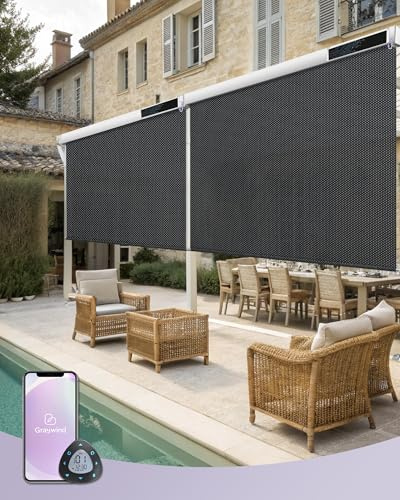 Graywind Store extérieur électrique vertical, étanche protection UV store intelligent de protection solaire, store de balcon à énergie solaire avec télécommande compatible Alexa Google (100 × 240 cm