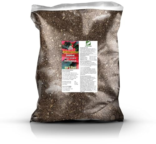 GREEN24 Weihnachtsstern-Erde 10L Premium | Substrat für Euphorbia pulcherrima (Poinsettie) | Profi-Mischung, lockere Struktur, hohe Luftkapazität, zuverlässige Drainage