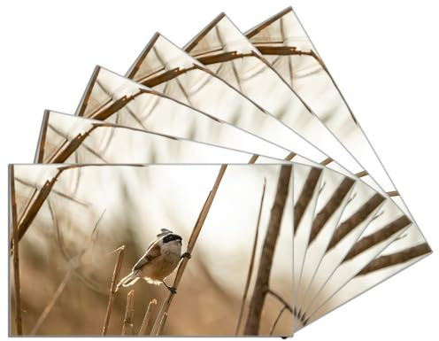Wallario 6er Set Frühstücksbrettchen aus Glas, Glasunterlage, Glasbrettchen Vogel im Schilf, Größe 14 x 23 cm, Sicherheitsglas