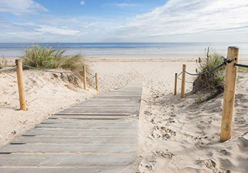 decomonkey Fototapete Strand Meer 300x210 cm XXL Design Tapete Fototapeten Tapeten Wandtapete moderne Wand Schlafzimmer Wohnzimmer Landschaft Natur