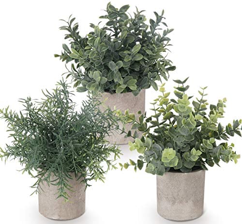 ilauke 3 Mini Plantas Artificiales Decorativas en Maceta de Eucalipto de Plástico, Plantas de Romero Sintético para Hogar, Jardín, Oficina, Balcón, Ventana, Escritorio, Decoración de Habitación