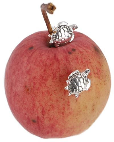 GURU SHOP Ohrstecker aus Silber, Kleine Silberohrstecker - Meereschildkröte, 0x1 cm