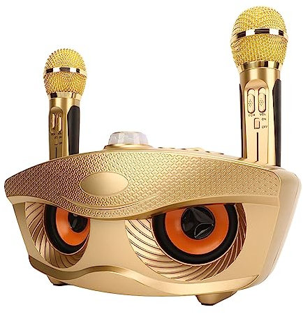 Bonbela Enceinte karaoké Portable Bluetooth, Microphone sans Fil, Batterie Rechargeable, 8 H D'autonomie, 6 Effets Sonores, Compatible Bluetooth 5.0, pour Appareils Intelligents, TV,