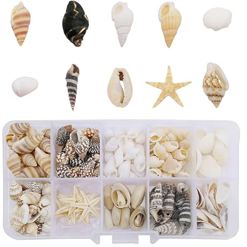 KLINNA 200 Stück Muscheln, Muscheln zum Basteln Deko Muscheln Gemischt & Ungebohrt | Ideal als Vase Füllstoffe, für Aquarium, DIY Kunsthandwerk, Kerze, Armbandschmuck, Hochzeitsdeko