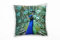 Paul Sinus Art Tiere, Pfau, blau, grün, weiß, nah, braun Deko Kissen 40x40cm für Couch Sofa Lounge Zierkissen - Dekoration zum Wohlfühlen