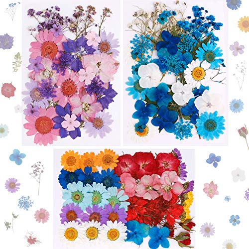 Xruison 101PCS Echt getrocknete gepresste Blumen Natürliche getrocknete Blumen Mehrfarbige Nagel-Trockenblumen für Harz, Scrapbooking, DIY-Kerze, Schmuckanhänger Basteln (3packs)