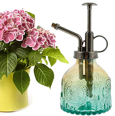 Arrosoir en Verre Vintage, 200ml Arrosoir Vaporisateur Plante Interieur, Arrosoir Pulverisateur de Jardin à Pression, Brumisateur Plante Verre pour Plantes Fleurs (01)