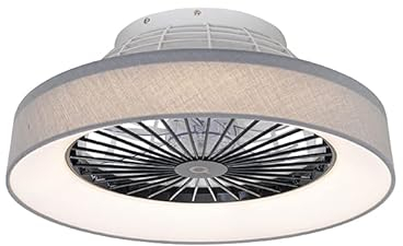 Qazqa emily - LED Ventilateur de plafond - 1 lumière - Ø 47 cm - Gris - Moderne - éclairage intérieur - Salon I Chambre I Cuisine I Salle à manger