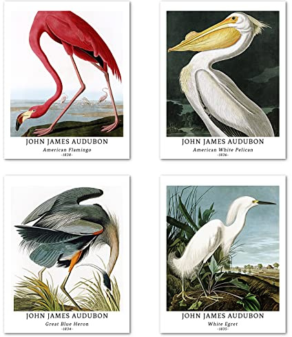 Kunstdruck Ungerahmt Klassischer Vogel Bilder Set von 4, Poster Größe: 28x35 cm Premium Kunstpapier Wanddeko Vintages Wiesen Aquarell schönes Passenden Home Deko John James Audubon Picture