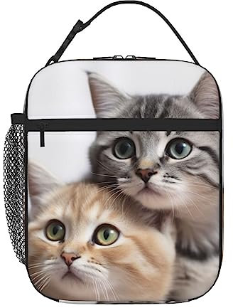 Lonchera con aislamiento reutilizable para hombres, mujeres y adultos, para el trabajo, picnic