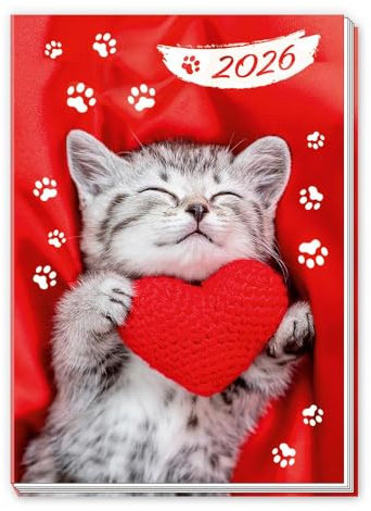 Trötsch Taschenkalender A7 Katze 2026: Mini-Terminkalender