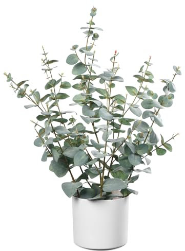Leflos 60cm Eucalipto Artificial, Planta de eucalipto Artificial con 235 Hojas de dólar de Plata, Adecuado para la Mesa y la decoración de Interiores