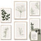BLATT PAPIER® 6er Premium Poster Set (2x A3, 4x A4) - Wandbilder Set, Bilder Set - Poster Set beige - Wanddeko Wohnzimmer - OHNE Rahmen