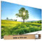 TRIOSK Große Motivplane Sichtschutz Zaunblende mit Motiv Blumenwiese Baum Sonnenlicht Motivbanner Garten Deko Plane Blickdicht für Zaun Terrasse Gartenzaun Zaunplane PVC 340x173 cm