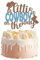 Cowboy Cake Topper Cowboy Kuchenaufsatz-Dekoration, glitzernder Cowboy Babyparty Dekorationen, Cowboy Kuchendekorationen, Kuchenaufsatz mit Western Motiv, Cowboy Junge Geburtstag Kuchen