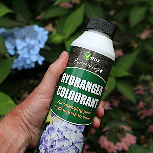 Vitax 250g Hydrangea Colourant (3)