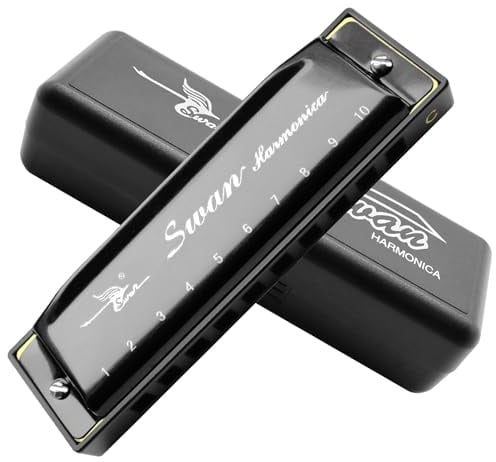 Mundharmonika C Dur 10 Loch Blues Harp Diatonische Harmonika Harmonica für Erwachsene Kind Kinder Student Lehren Anfänger Geschenk
