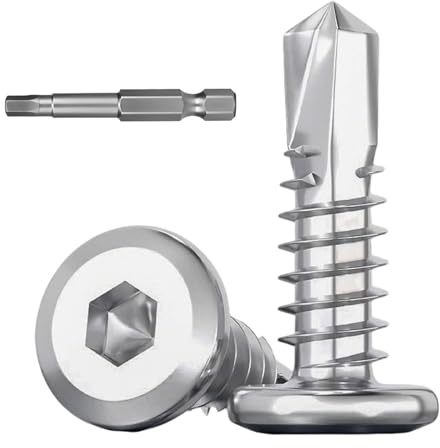 Dayalo 40 Stück Blechschrauben 6,3x16 mm, Edelstahl 410, Innensechskant | Selbstbohrend mit Flachkopf und passendem Innensechskant-Bit; silber, für Blech, Aluminium und Metallprofile