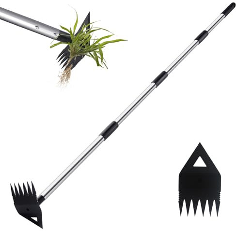 PIMEKOY Extracteur de mauvaises herbes avec long manche, outils de désherbage pour jardin, houe de jardin, râteau pour déracinage