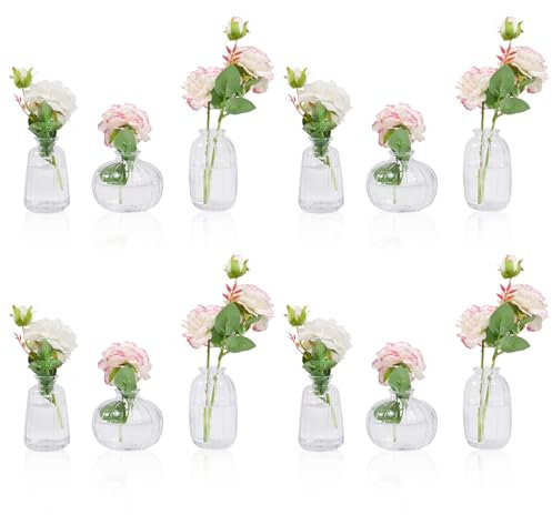 Lot de 12 mini vases en verre - 3 styles - Petit vase à fleurs - Pour décoration de table et décoration d'intérieur - Rose (transparent)