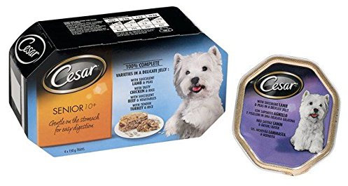 Cesar 10+ Dog Tray Meat in Jelly 4 x 150g (PACK OF 6)