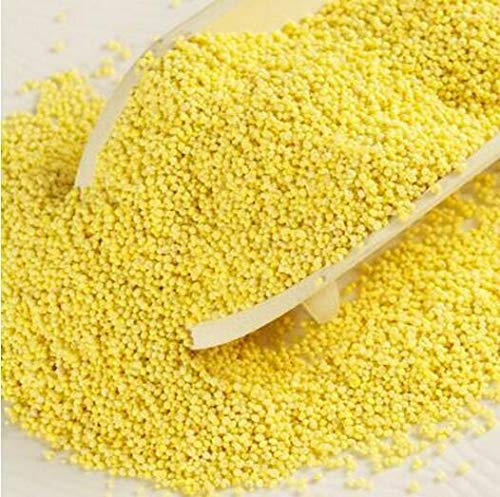 Portal Cool 5 Oz Jaune plumeau Millet