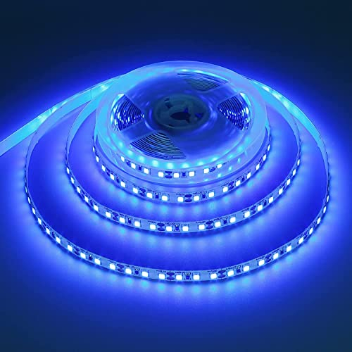 iNextStation LED Strip Blau 5M,12V Selbstklebend LED Streifen 300 SMD5050 LEDs Flexible LED Lichtband Kette LED Lichtband Leiste für Innen Heim Küche Deko DIY, Kein Netzteil/Stecker