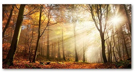 Tulup Leinwandbild - Wandkunst - Drucke auf Leinwand - Leinwanddruck -100x50 cm - Landschaften - Orange - Nebel im Wald