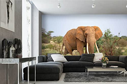 Vlies Fototapete ELEFANT IN DER SAVANNE 375 x 250 cm (inkl. Kleister) - Vlies Tapete, Wandtapete, Wandbilder - Tapete für Wohnzimmer Schlafzimmer, Büro, Küche - Montagefertig