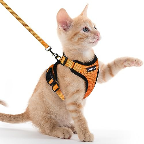 rabbitgoo Katzengeschirr mit Leine Softgeschirr für Katze Brustgeschirr Cat Harness Katzengarnitur ausbruchsicher verstellbar Katzenweste Orange XXS