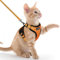 rabbitgoo Katzengeschirr mit Leine Softgeschirr für Katze Brustgeschirr Cat Harness Katzengarnitur ausbruchsicher verstellbar Katzenweste Orange XXS
