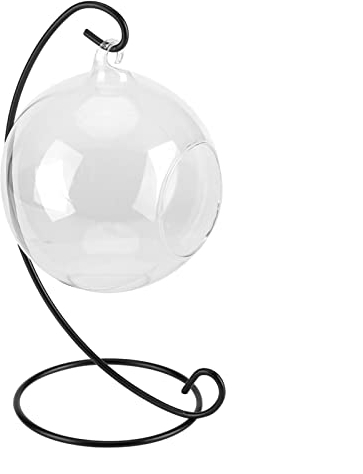 Vaso di vetro sospeso, grande terrario con cornice piante aeree, piante grasse