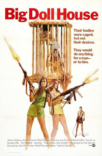 Großes Puppenhaus 02 Poster A0 – Wandkunst, Heimdekoration, Filmposter, Leinwand, Film, Kino, Retro, Vintage, Kult, klassisch, Nostargic, Saga, moderner Nachdruck, wir drucken jedes Poster für Sie,