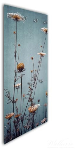 Wallario Wandgarderobe aus Glas in Größe 50 x 125 cm in Premium-Qualität, Motiv: Filigrane Wildblumen | 7 Kleiderhaken zum Aufhängen von Jacken
