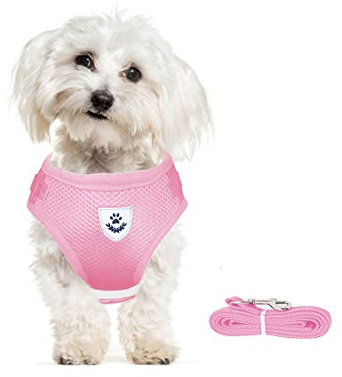 meioro No Pull Dog Harness,Reflective Adjustable Step-in Puppy Vest Harnesses with Soft Padded Mesh and Leash,Lightweight Escape Proof Pet Harness for Small Medium Dogs Cats (Small, Pink)