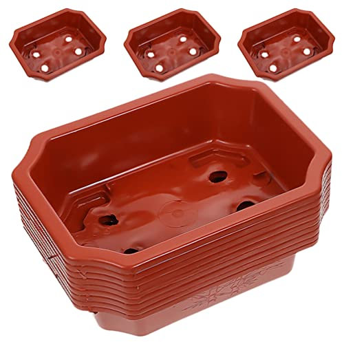 Yardwe 12 Piezas De Macetas De Bonsái Macetas Ovaladas Macetas De Plástico para Flores Profundas Macetas para Vivero Macetas para Cultivo Macetas para Plantas con Orificio De Drenaje De