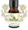Auto Lufterfrischer Öle Refills丨10ml 100% natürliche Duft ätherisches Öl丨Aromatherapie Öle für Diffusor, Luftbefeuchter, Reiniger丨Duftende Öle für Haus, Auto & Yoga Raum (white musk)