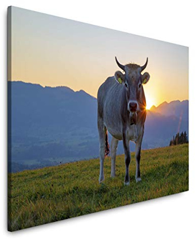 Paul Sinus Art Kuh im Allgäu 120x 80cm Inspirierende Fotokunst in Museums-Qualität für Ihr Zuhause als Wandbild auf Leinwand in