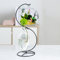 YY YEARCHY Ornament Display Ständer Halter Home Hochzeit Dekoration Rack zum Aufhängen Glas Globus Luft Pflanze Blumentopf Ständer Eisen Topf Haken Ständer Terrarium Hexe Ball