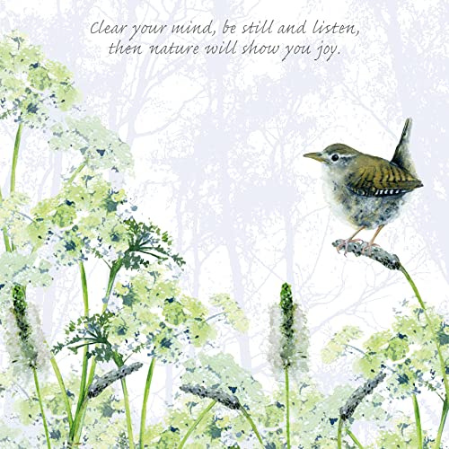 Tuppence A Bag Wren Be Still & Listen Bird Themed Bird Art Greeting Card Blank TAB05