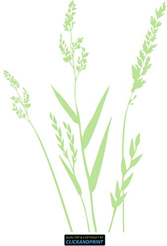 CLICKANDPRINT Aufkleber » Gräser, 80x56,2cm, Frühlingsgrün • Wandtattoo/Wandaufkleber/Wandsticker/Wanddeko/Vinyl