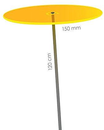 Cazador-del-sol mediano – Colector del Sol – amarillo