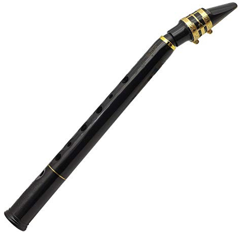 8-Hole LittleSax: New Style of 2018, Key C, Simple Mini Saxophone, Pocket Sax, Professional instruments for amateurs and professional performers.