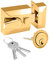 XFORT® Narrow Deadlocking Night Latch 40mm, Complete with Rim Cylinder and 3 Keys, Elegant Polished Brass Nightlatch, External Door Lock for Front Door, High Security for Your Home or Workplace