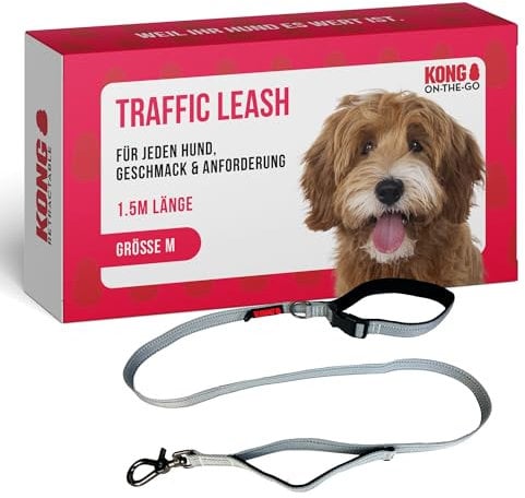KONG Hundeleine in 1,5m Länge I Für mittelgroße Hunde bis 30kg I Größe M I verkehrssichere Leine Hund in grau I Führleine reflektierend mit 2 gepolsterten Handschlaufen & robusten Karabinerhaken