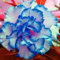 Wüstenrose zwiebeln,winterharte mehrjährig,Wüstenrose Bonsai,WüStenrose Pflanze Winterhart,Hausgarten,wüstenrose,adenium pflanze Knolle,wüstenrose zimmerpflanze,desert rose plant.-1 zwiebeln-B