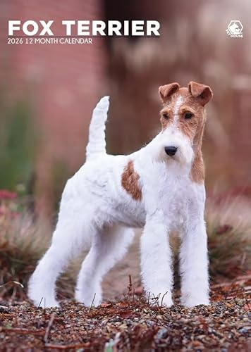 Fox Terrier Dog Kalender 2026, A3, Wirobound, vollfarbig