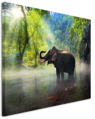 Paul Sinus Art XXL Fotoleinwand 120x80cm Tierfotografie – Elefant, Kanchanaburi Provinz, Thailand auf Leinwand exklusives Wandbild moderne Fotografie für ihre Wand in vielen Größen